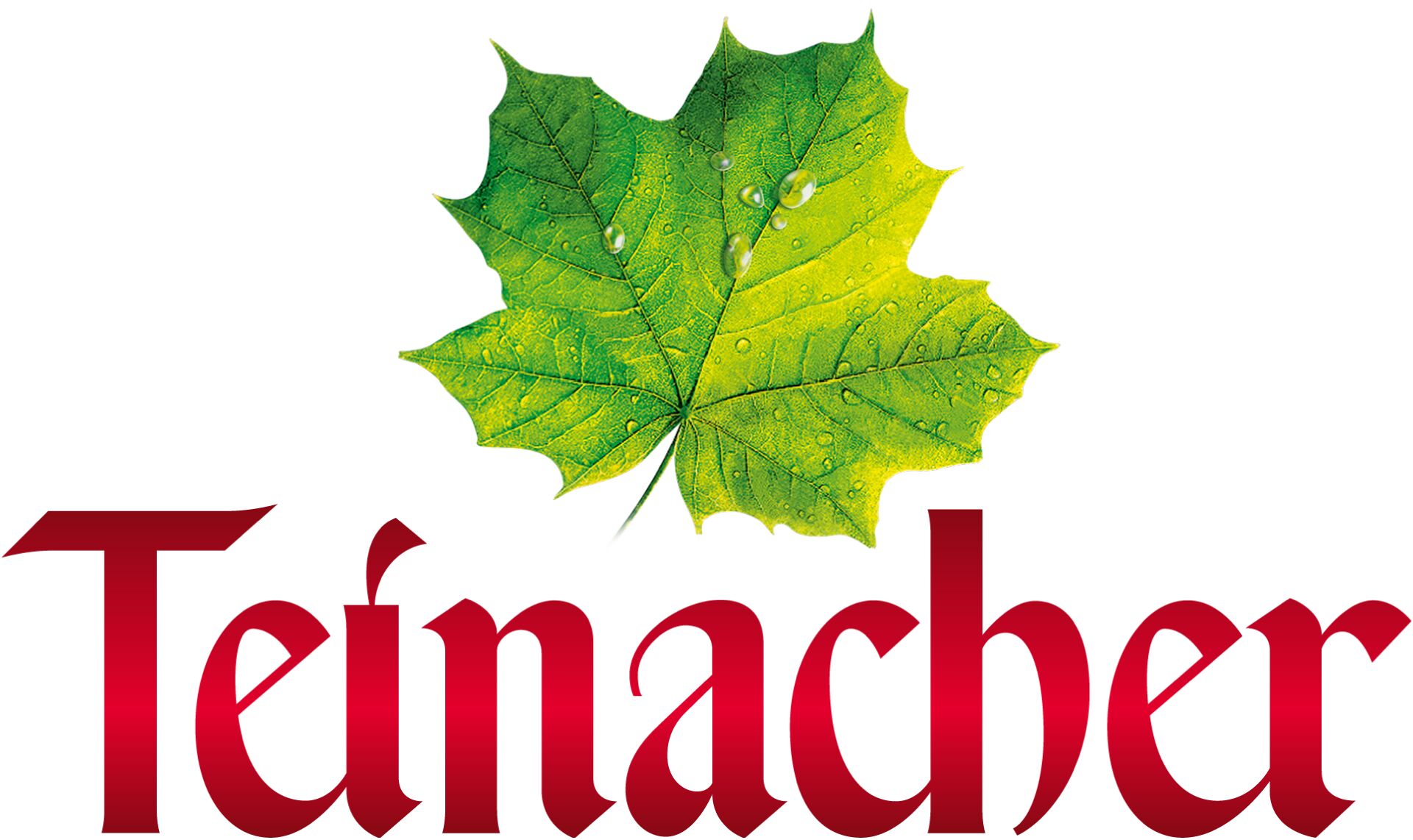 Teinacher Logo